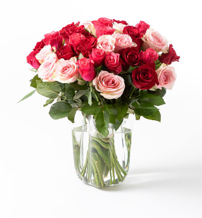 30 Fairtrade roser miksfarger 30 Fairtrade roser miksfarger